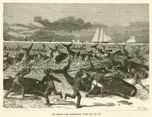 The Porpoise Hunt by French School