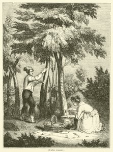 The Manna Tree