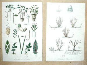 Layers and Cuttings