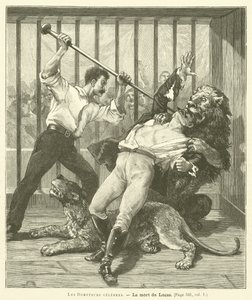 The Tamer Lucas by French School