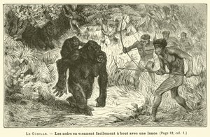 The Gorilla (engraving)