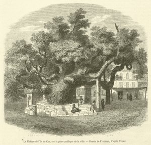The Plane Tree of the Island of Cos in the Public Square of the City by French School
