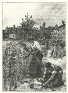The Hemp Harvest by French School