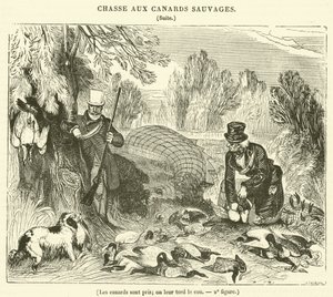 The Ducks are Caught, Their Necks are Twisted by French School