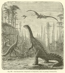 The Dinosaurs, Stegosaurus and Compsognathus, in a Landscape of Araucarias by French School