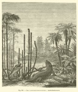 The Labyrinthodonts, Mastodontosaurs by French School