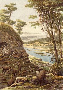 The Early Ages of Humanity, Era of the Cave Bear