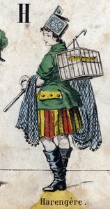 Letter H: Herring. Engraving in "Alphabet masquerade". Second half of the 19th century