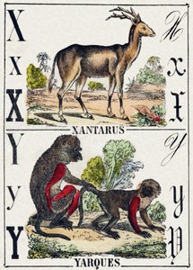 Letter X Xantarus; Y Yarques by French School