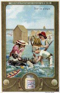 Liebig chromolithography series 