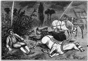 Lightning: A man finds sitting under a bush beside his four killed horses