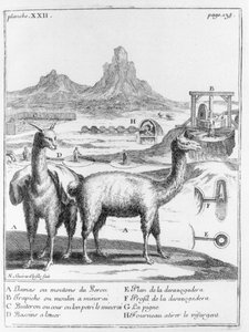 Llamas and diagrams concerning mineral extraction, from Relation du voyage de la mer du sud aux cotes du Chily et du Perou by A.F. Frezier, 1716