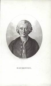 Louis-Jean-Marie Daubenton by French School
