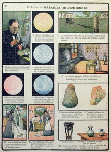 Louis Pasteur and Bacterial Diseases, from Les Sciences Physiques et Naturelles, Paris, 1908 by French School