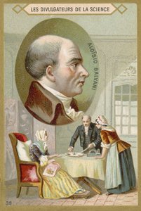 Luigi Galvani by French School