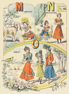 Sheep, Necessiary, Bird