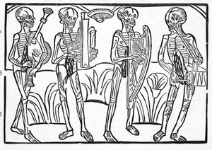 Macabre Dance - Skeletons of Musicians in an Orchestra