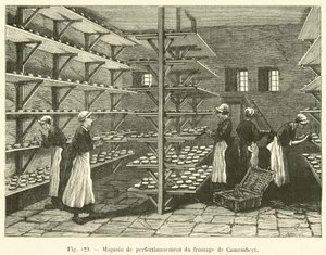 Camembert Cheese Improvement Shop by French School