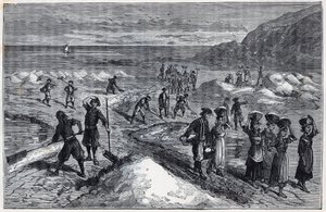 Marais salants de Bretagne in the 19th century - Engraving in 