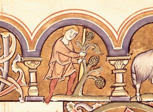 March: Grafting Trees, from the Psalter of St. Elizabeth