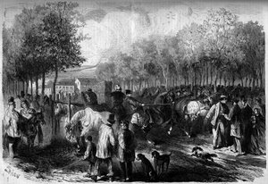 Horse Market of Paris