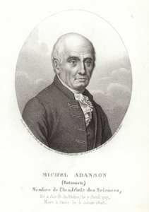 Michel Adanson by French School