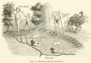 Monoculi, Blemmys, Sciopodes