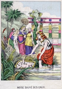 Moses Saved from the Waters - in 
