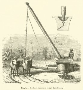 Cane Mill Used in India (engraving) by French School
