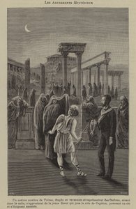 Mysterious Amusements