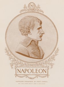 Napoleon Bonaparte as First Consul by French School