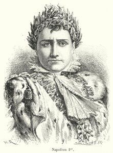 Napoleon I by French School