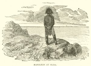 Napoleon at Elba by French School