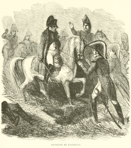 Napoleon at Waterloo by French School