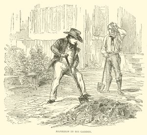 Napoleon in His Garden