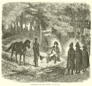 Napoleon in the Forest of Hanau by French School