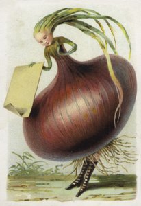 Onion by French School