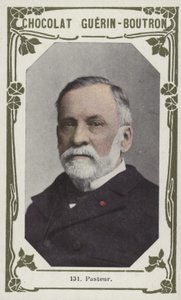 Pasteur by French School