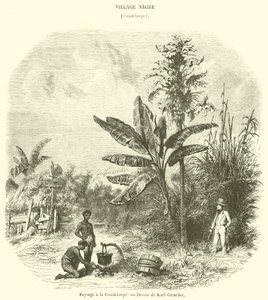 Landscape in Guadeloupe (engraving) by French School