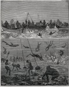 Pearl fishers in Ceylon (present-day Sri Lanka) in the 19th century. Engraving from 1885 in Les arts et metiers illustres by Adolphe Bitard. by French School