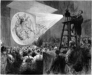Photographic projection of a phylloxera during a conference of the exhibition of insects
