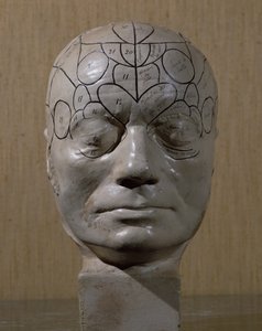 Phrenological Head by Jean Martin Charcot