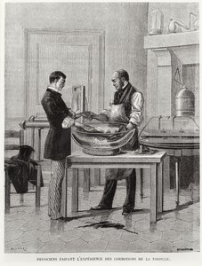Physicists experimenting on a torpedo, 2nd half 19th century