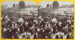 Place de la Bastille, the ham fair, Paris, stereoscopic view, c.1860