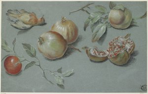 Pomegranates and Dead Bird, Early 19th Century