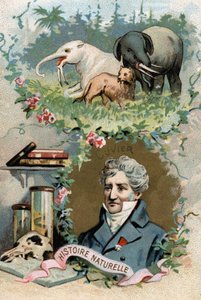 Portrait of Baron Georges Cuvier, French zoologist and paleontologist (1769-1832), founder of comparative anatomy by French School