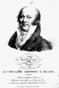 Portrait of Etienne Geoffroy Saint-Hilaire by French School