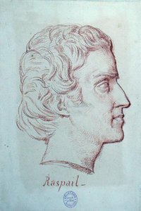 Portrait of Francois Vincent Raspail (1794-1878)