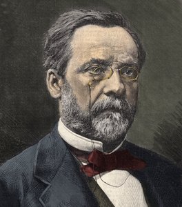 Portrait of Louis Pasteur (1822-1895), French chemist and microbiologist