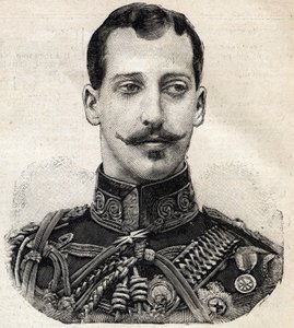 Portrait of Prince Albert Victor (1864-1892), Duke of Clarence and Avondale, and grandson of Queen Victoria of England, from French newspaper Le Petit Parisien by French School
